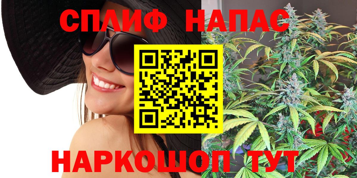 МАРИХУАНА конопля Ливны